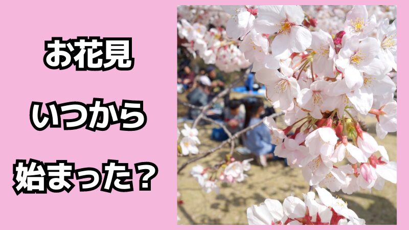 お花見はいつから始まった？歴史や由来について解説