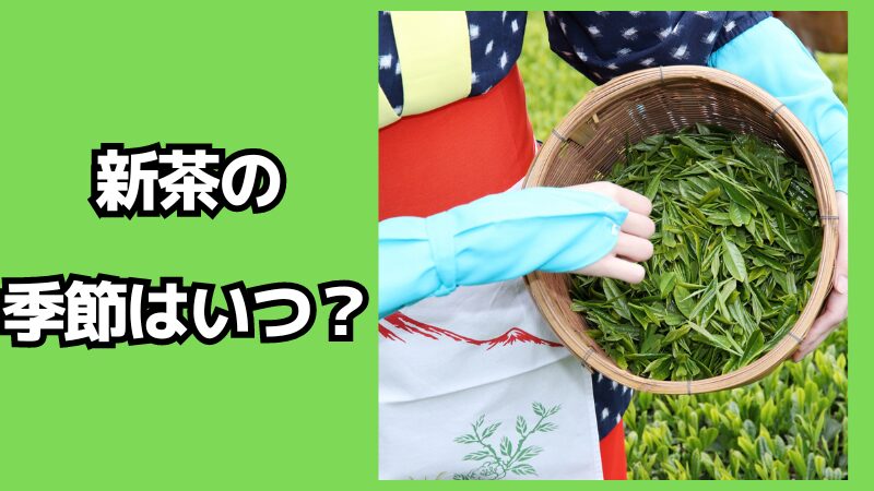 新茶の季節はいつ？時期はいつまで？