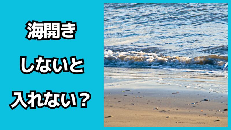 海には海開きしないと入れない？注意点も解説